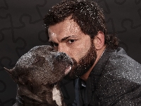 Pies, Sportowiec, MMA, Pit Bull Terrier, Sztuki walki, Andrei Arlovski, Amerykański pitbulterier