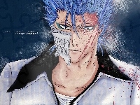 Numer 6, Arrancar, Grimmjow