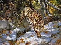 Art, Drzewa, Śnieg, Jaguar
