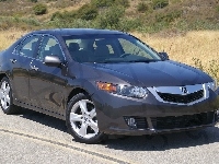 Szyby, Atrapa, Acura TSX