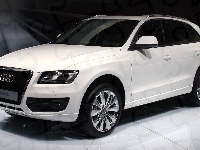 Audi Q5, Białe, Pokaz