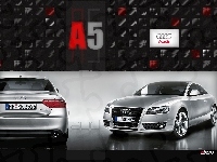 Dealer, Audi A5