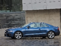 Audi A5, Niebieskie, Drzwi