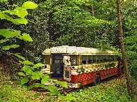 Autobus, Zardzewiały, Las