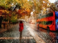 Autobus, Deszcz, Parasol, Jesień, Ulica, Kobieta