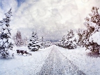 Ławeczka, Park, Świerki, Zima, Ławka, Drzewa