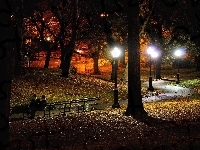 Ławka, Park, Noc, Jesień, Drzewa, Latarnie