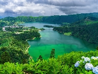 Lasy, Jezioro Azul, Hortensje, Jezioro Verde, Sete Cidades, Azory, Portugalia, Góry, Wyspa Sao Miguel