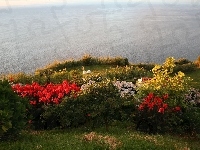 Azory, Ocean, Kwiatki, Portugalia