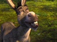 Bajka, Shrek, Osioł