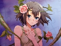 anime, Baka to Test to Shoukanjuu, Hideyoshi
