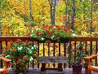 Balkon, Jesień, Las, Kwiaty