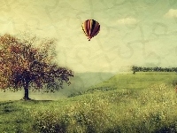 Łąka, Balon, Drzewo