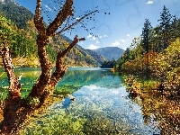 Jezioro Arrow Bamboo Lake, Las Drzewa, Chiny, Park Narodowy Jiuzhaigou, Góry