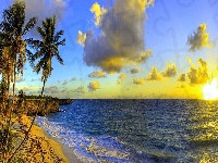 Morze, Palmy, Chmury, Barbados, Zachód Słońca