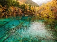 Barwy, Jezioro, Las, Jesieni