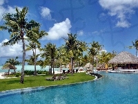 Basen, Bora Bora, Ocean, Palmy, Kurort