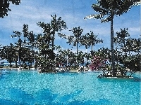 Basen, Morze, Palmy, Bali