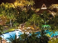 Basen, Palmy, Hotel, Taras, Tropik