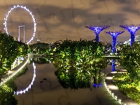 Gardens by the Bay, Staw, Ogród, Singapur
