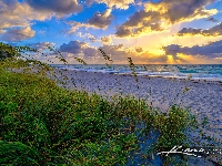Morze, Stany Zjednoczone, Plaża, Trawa, Riviera Beach, Wyspa Singera, Chmury, Wschód słońca, Floryda, Singer Island, Budynki