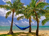 Palmy, Hawaje, Stany Zjednoczone, Plaża, Hamak, Kahala Beach