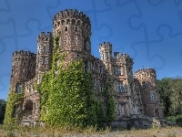 Zamek, Chateau De La Foret, Belgia, Winorośl