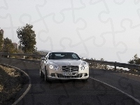 Bentley Continental GT, Lusterka