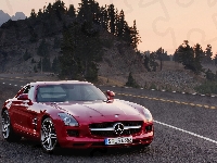 Mercedes-Benz SLS AMG, 2010