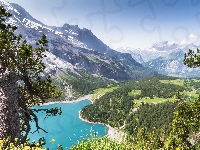 Alpy Berneńskie, Jezioro Oeschinen, Szwajcaria, Góry, Drzewa