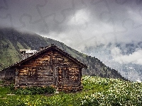 Wioska Grindelwald, Mgła, Drewniany, Kanton Berno, Schronisko, Szwajcaria, Góry Alpy Berneńskie, Domek