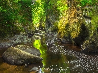 Drzewa, Walia, Skały, Rzeka Conwy, Wioska Betws y Coed, Kamienie, Wąwóz Fairy Glen, Park Narodowy Snowdonia