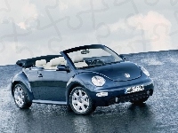 Biała Skóra, New Beetle, Cabrio