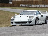 Białe, Ferrari F 40