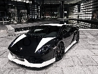 Białe, Czarno, Lamborghini Gallardo