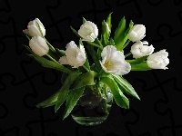 Tulipany, Białe, Wazon
