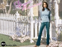 biały, Desperate Housewives, Teri Hatcher, płot