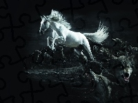 Koń, Biały, Wilki
