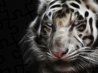 Tygrys, Biały, 3D