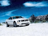 Biały, Ford Mustang V6 Pony