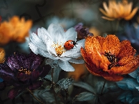 Grafika AI, Kwiaty, Biedronka