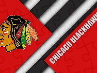 Chicago Blackhawks, Hokej, Klub hokejowy