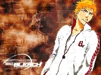 fecet, Bleach, dres