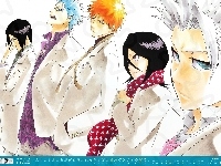 Bleach, Kalendarz