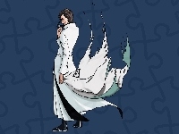Bleach, Płaszcz, Postać, Manga, Poszarpany