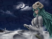 Neliel, Bleach, Espada