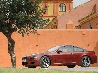 BMW 6, Bordowa, drzewo