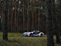 BMW Vision Efficient Dynamics, Las