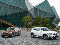 Dwa, Brązowy, Biały, BMW X1 F48