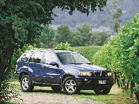 Granatowy, Bmw X5